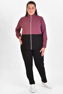 ������ � 497