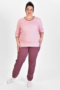 ������ � 088