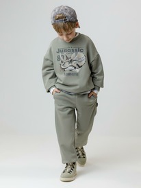 Crockid     400857/ 6206 592