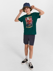 Mark Formelle    133330 133330 1 1050