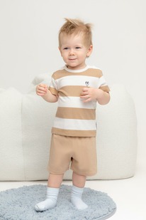   23.12  Crockid  /   400658/ 476