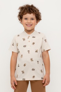   23.12  Crockid  ()    302706/, 544