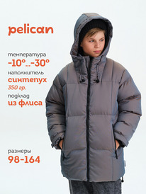 13.01 Pelican ������ ��� ��������� BZWZ3377 �����