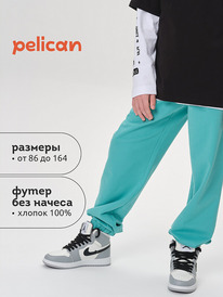 13.01 Pelican ����� ��� ��������� BFPQ3321U ������� �����