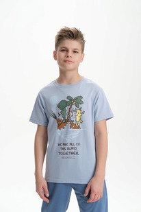 13.01 Pelican �������� ��� ��������� BFT3370/1 ���