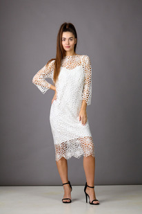 ������ Rosheli 843/3 ��������