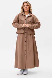 ������ AmberA 2065� ����