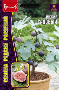 ����� ������� (������� ������) ���������