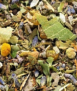 ������ ������� 