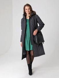 ������ DizzyWay 24415 ����������