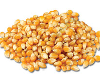 �������� ��� �������� 0.5 ��