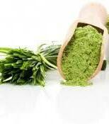 �������� 50 ��.