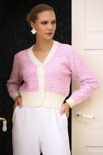 �������� ELZA �� �������