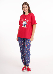 09.04  Clever ������ ������� CLE LP15-1202/3 �������/�.�����