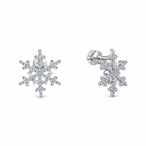 ������ � �������� ������������ ������� 925*