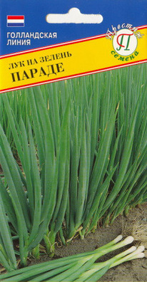 ��� �� ������ ������