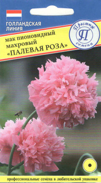 ��� �������� ������� ����