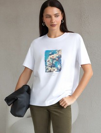 27.03  Vilatte �������� D49.145 �����_everyday