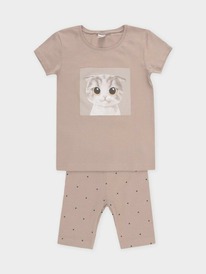 24.03 Crockid ������ ��� ��� � 1647/���.�����