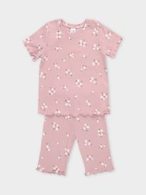 24.03 Crockid ������ ��� ��� � 1632/�������� 1509 �061