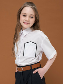 12.04  Pelican ������ ��� ������� GWCT7128 �����