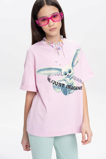 12.04  Pelican �������� ��� ������� GFT3369/8 �������