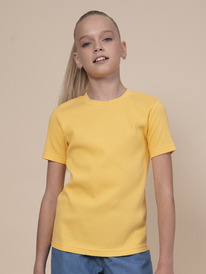 12.04  Pelican �������� ��� ������� GFT3352/5 ������