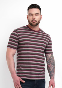 �����  ��� �������� ������� ��� 600311�� �.��������/������