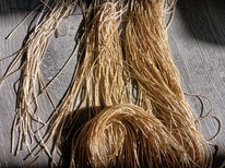 ����� ����