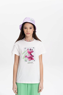 12.04  Pelican �������� ��� ������� GFT3369/1 ��������