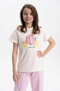 12.04  Pelican �������� ��� ������� GFT3371/2 ��������