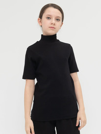 12.04  Pelican �������� ��� ������� GFTS8146U ������