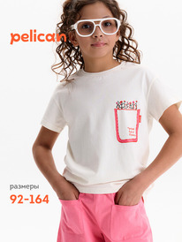 12.04  Pelican �������� ��� ������� GFT3388/2 ��������