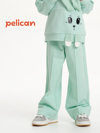 12.04  Pelican ����� ��� ������� GFP3352U ������