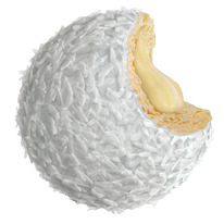 STOKSON ������ �������� ������� �����-������� ����� ������� � ��������� �������