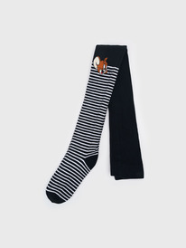 12.04  PlayToday �������� ����������� ��� ������� 12542119