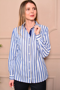 ������� LM ��1010