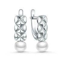 ������ �� ������� � ���������������� �������� ������������ 311093