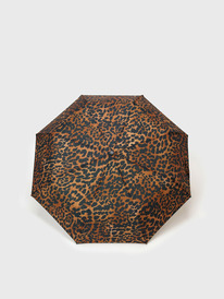 06.04  PlayToday ���� �������������� ��� ������ 12566812