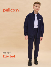 12.04  Pelican �������� ��� ��������� BFAXP7018U �����