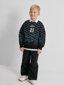 08.04 Acoola ������� ������� ��� ��������� Peregrin 20120170200 ������ �����