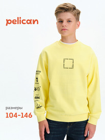 08.04 Pelican ��������� ��� ��������� BFN3377 ���������