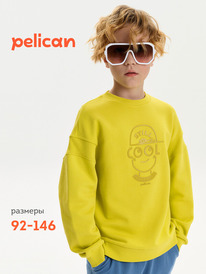 08.04 Pelican ��������� ��� ��������� BFN3387U ������
