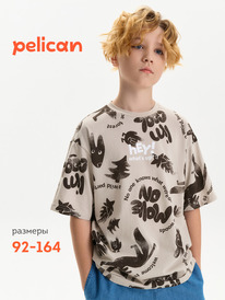 22.04 Pelican �������� ��� ��������� BFT3387/2 ������-�����