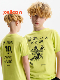 22.04 Pelican �������� ��� ��������� BFT3388 ��������