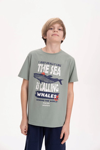 22.04 Pelican �������� ��� ��������� BFT3371 ������-�������