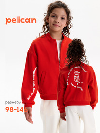 12.04  Pelican ��������� ��� ������� GFX3388U �������