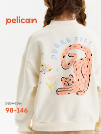 12.04  Pelican ��������� ��� ������� GFX3390U ��������