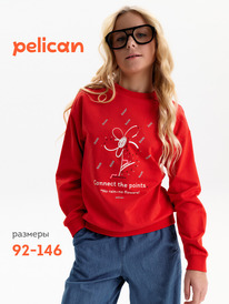 12.04  Pelican ��������� ��� ������� GFN3388 �������