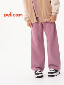 12.04  Pelican ����� ��� ������� GFPQ3319U ������-�������